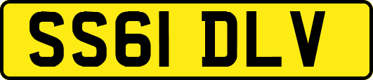 SS61DLV