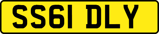SS61DLY