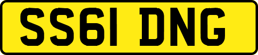 SS61DNG