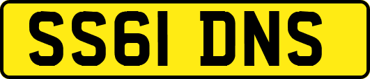 SS61DNS
