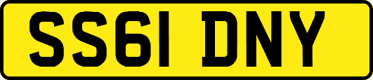 SS61DNY