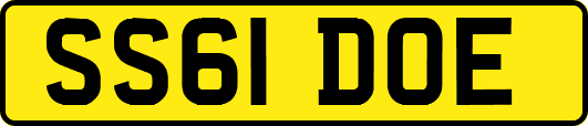 SS61DOE