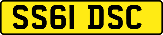 SS61DSC