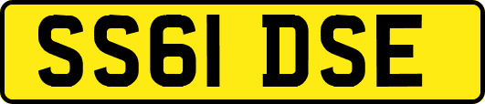 SS61DSE