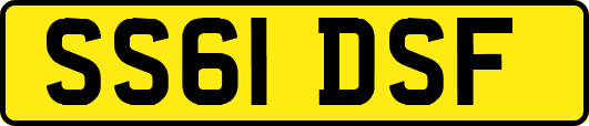 SS61DSF