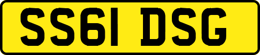 SS61DSG