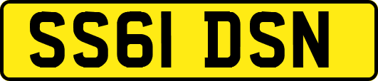 SS61DSN