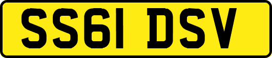 SS61DSV