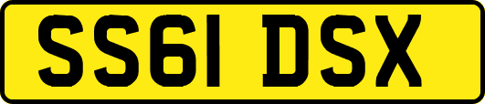 SS61DSX