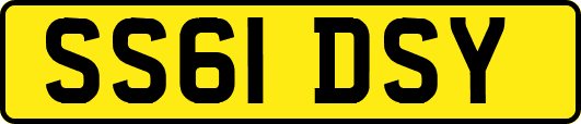 SS61DSY