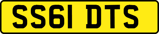 SS61DTS