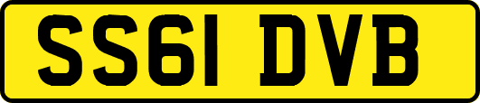 SS61DVB