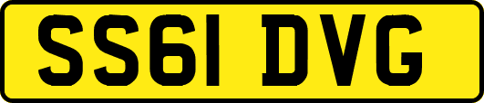 SS61DVG