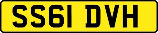 SS61DVH