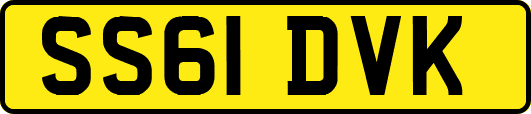 SS61DVK