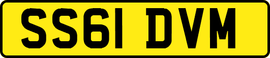 SS61DVM