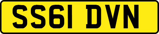 SS61DVN