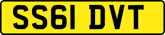 SS61DVT