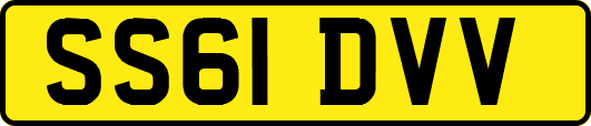 SS61DVV