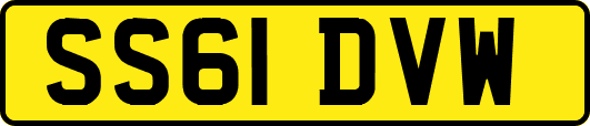 SS61DVW