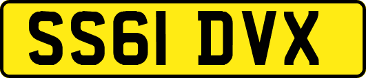 SS61DVX