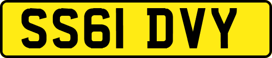 SS61DVY
