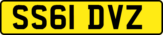 SS61DVZ