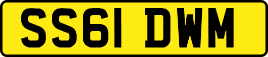 SS61DWM