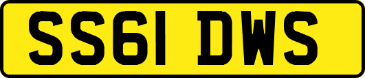 SS61DWS