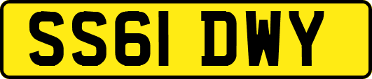 SS61DWY