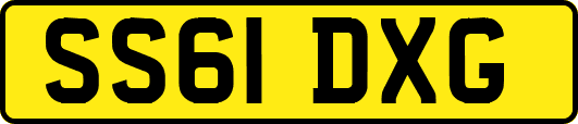 SS61DXG