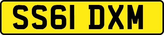 SS61DXM