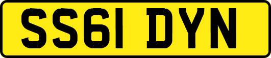 SS61DYN