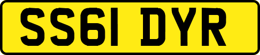 SS61DYR