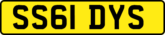 SS61DYS