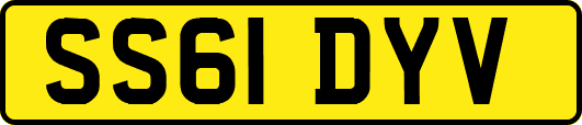 SS61DYV