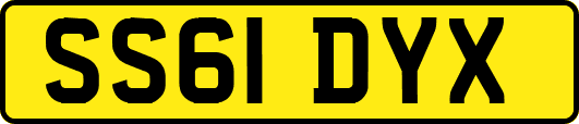 SS61DYX