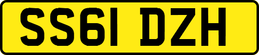 SS61DZH
