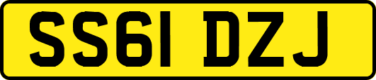 SS61DZJ