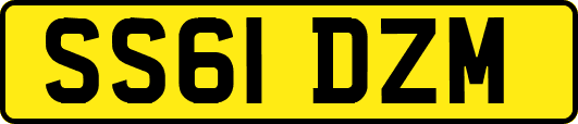 SS61DZM
