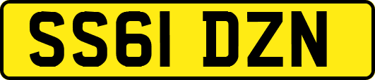 SS61DZN