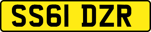SS61DZR