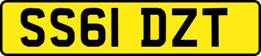 SS61DZT