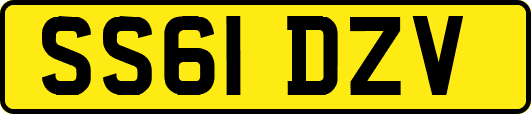 SS61DZV