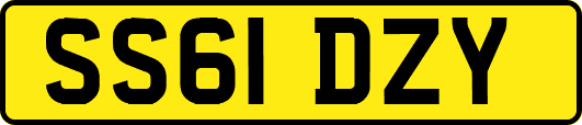 SS61DZY