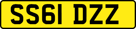 SS61DZZ