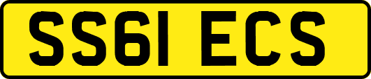 SS61ECS