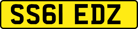 SS61EDZ