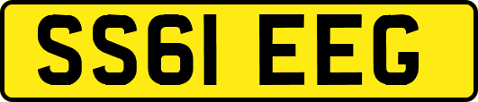 SS61EEG