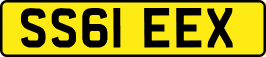 SS61EEX